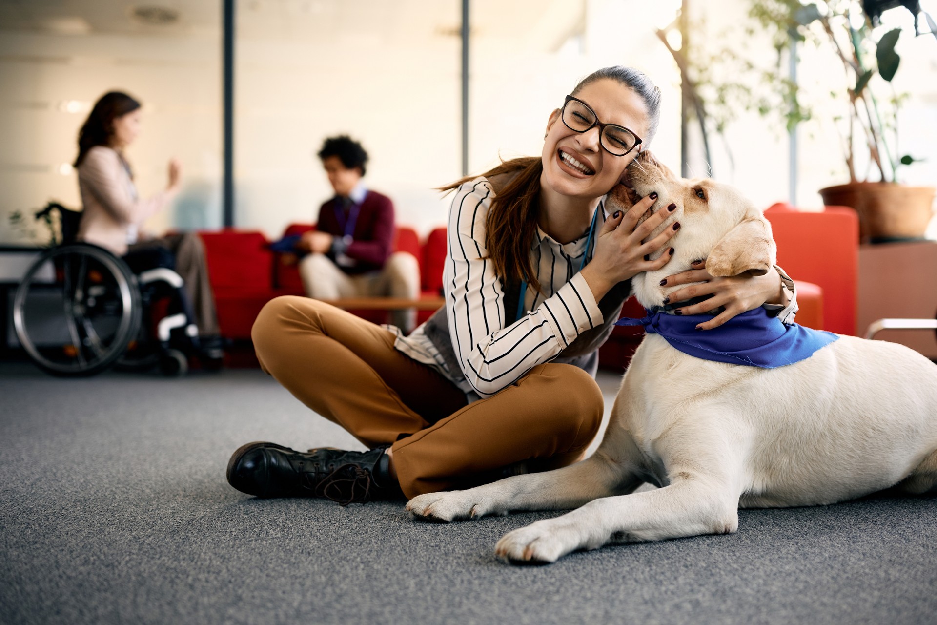 Curso de Terapia Asistida con Animales 
